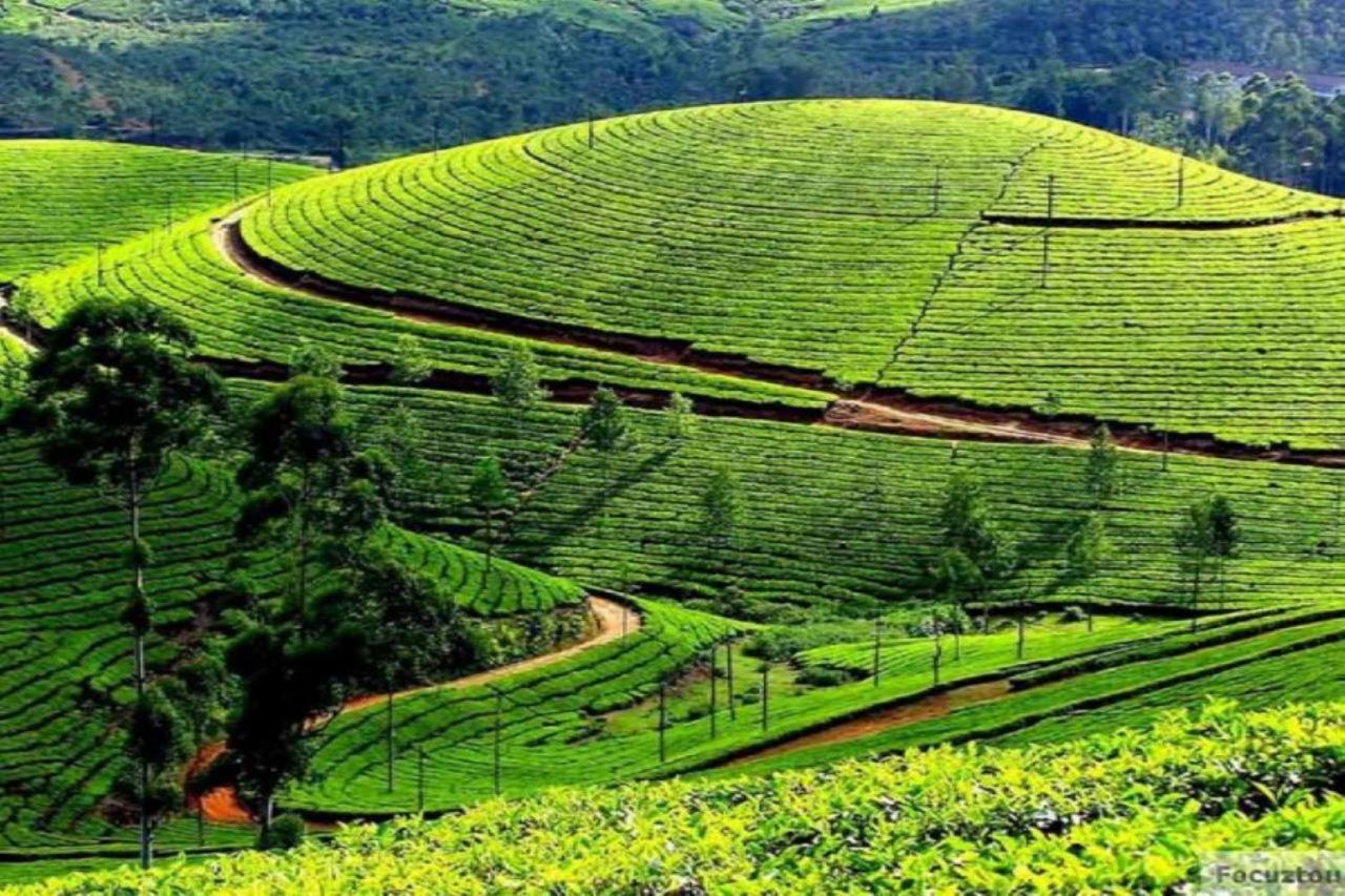 Blusalz Homes - One Lovedale, Ooty - Tamil Nadu Exterior photo